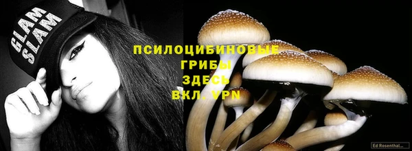 круглые Алзамай