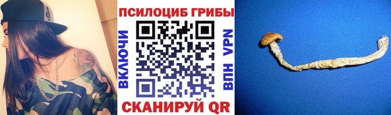 Галлюциногенные грибы Cubensis гидра tor Сосновый Бор